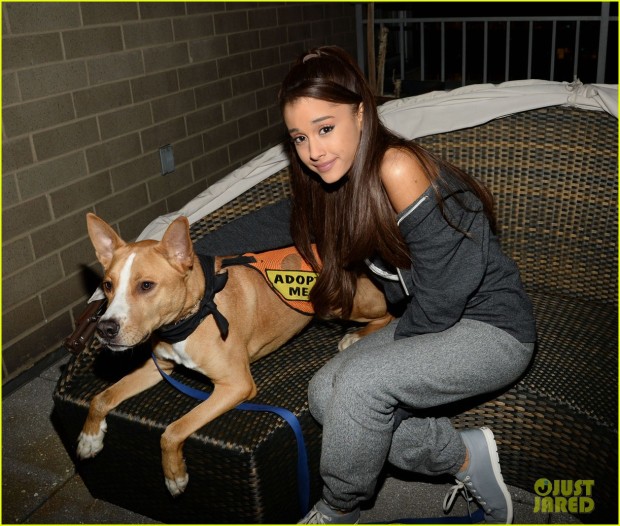 ariana-grande-is-doing-amazing-things-for-nyc-rescue-dogs-13.JPG
