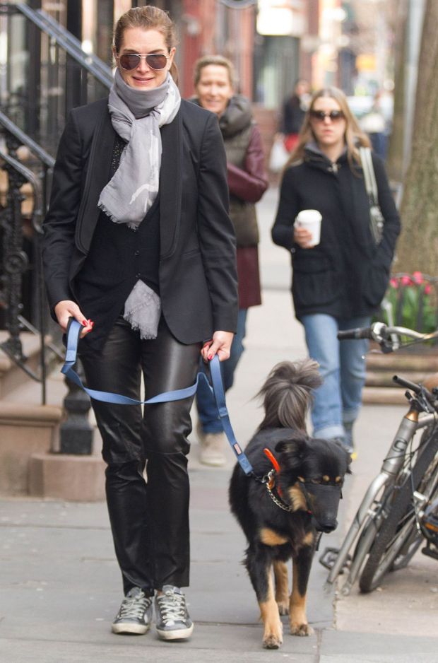 brooke-shields-wlaks-her-dog-out-in-new-york-13.jpg