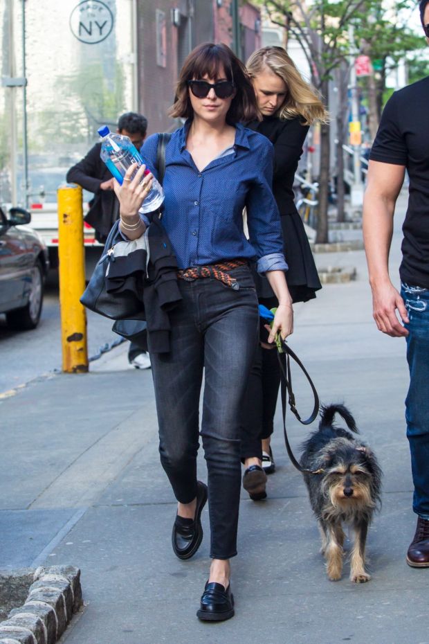 dakota-johnson-walks-her-dog-out-in-new-york-05-15-2015_1.jpg