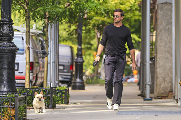 Hugh+Jackman+takes+pet+dog+Dali+out+walk+West+A32PXNRqVA8l