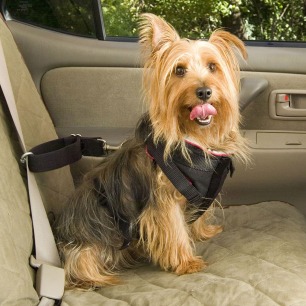 pet-seat-belt-2